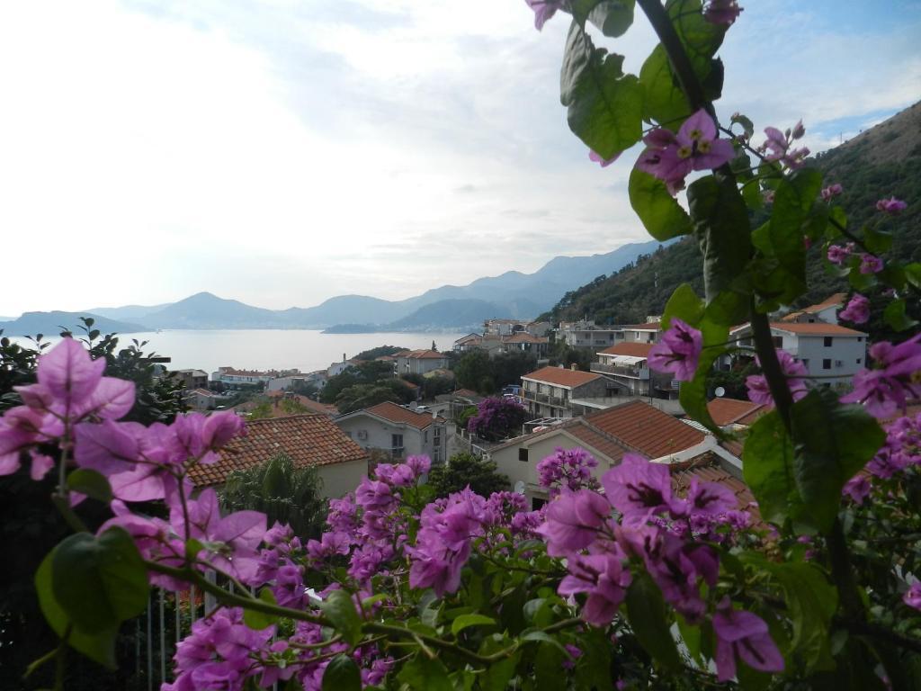 Apartments Aleksandar Sveti Stefan Extérieur photo